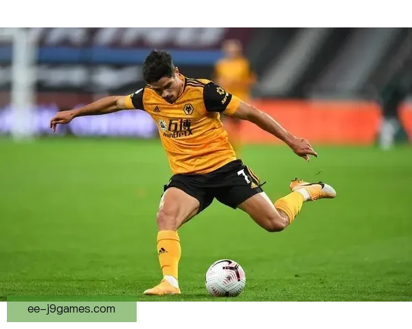 切尔西以6000万英镑引进狼队葡萄牙边锋佩德罗内托继续疯狂引援之路